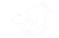 CAI Logo